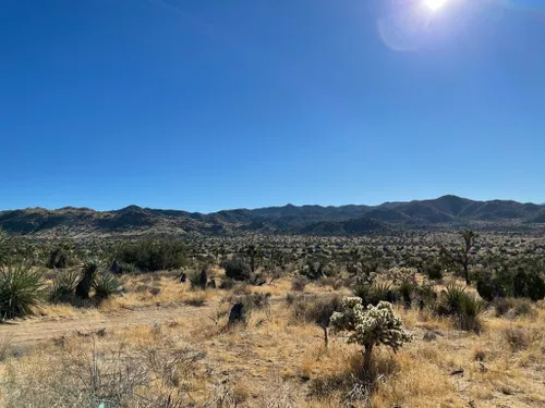 Fargo Canyon: Off-roading in an EV near Joshua Tree National Park