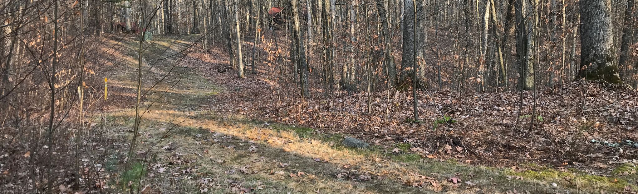 Sylvan Trail Loop, New York - 59 Reviews, Map | AllTrails