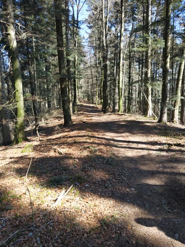 Rundweg: Oberflacht - Lupfen