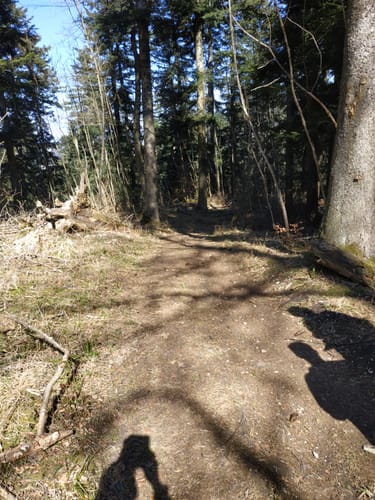 Rundweg: Oberflacht - Lupfen