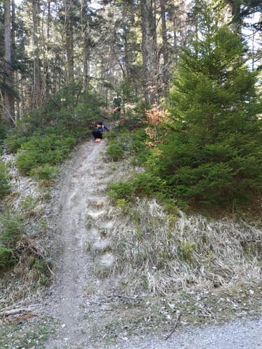 Rundweg: Oberflacht - Lupfen