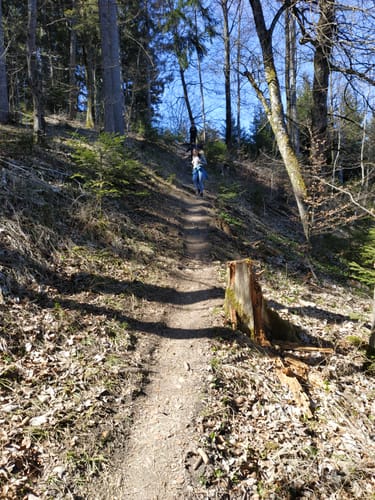 Rundweg: Oberflacht - Lupfen