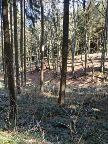 Rundweg: Oberflacht - Lupfen