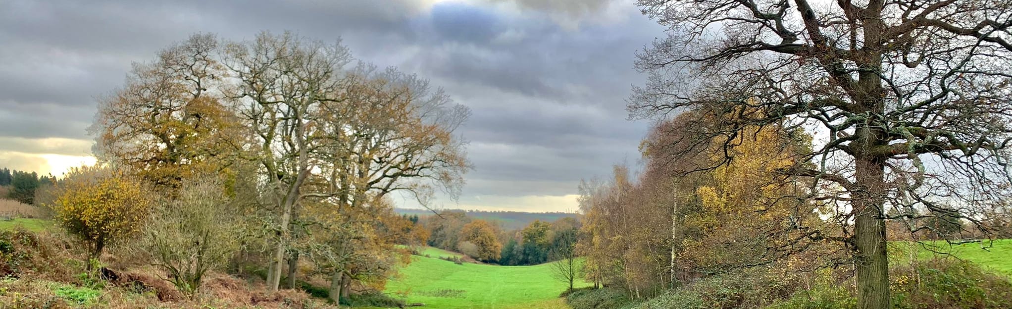 High Weald Staplefield Circular West Sussex, England AllTrails