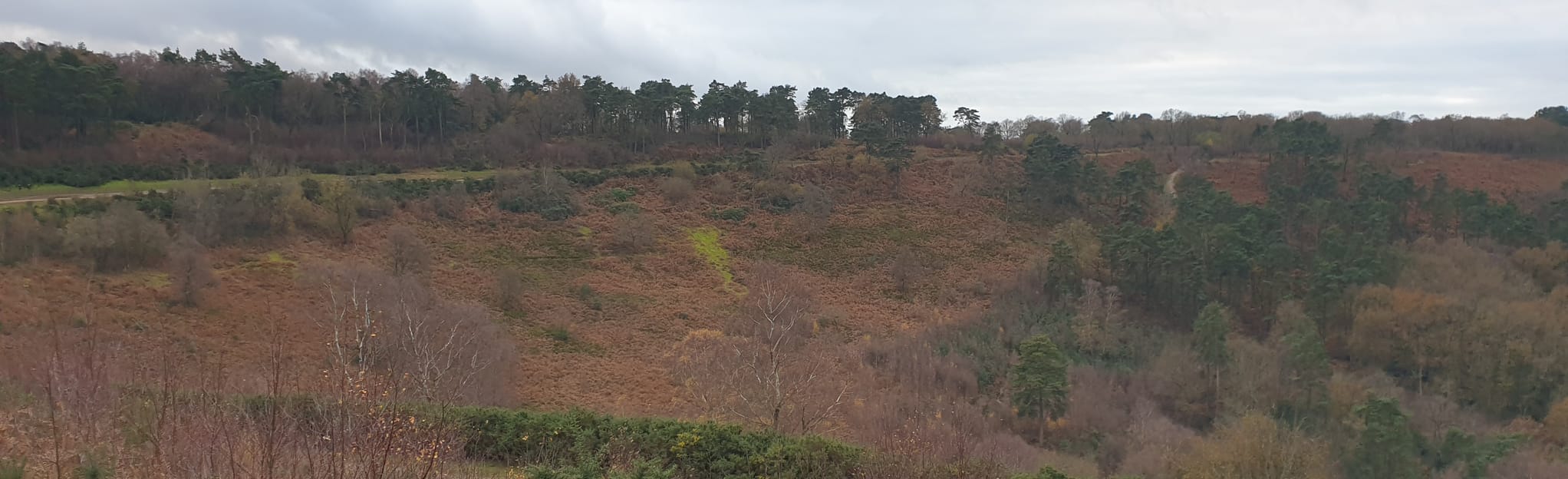 Devil's Punch Bowl and Gibbet Hill 368 Fotos Surrey, England AllTrails