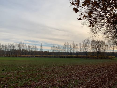 Heide-Teichlandschaft