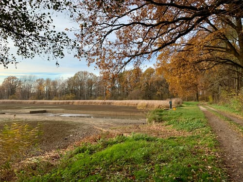 Heide-Teichlandschaft
