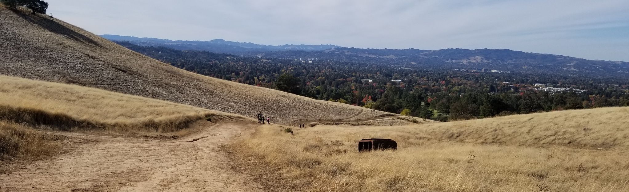 Lime Ridge South Loop, California 510 Reviews, Map AllTrails