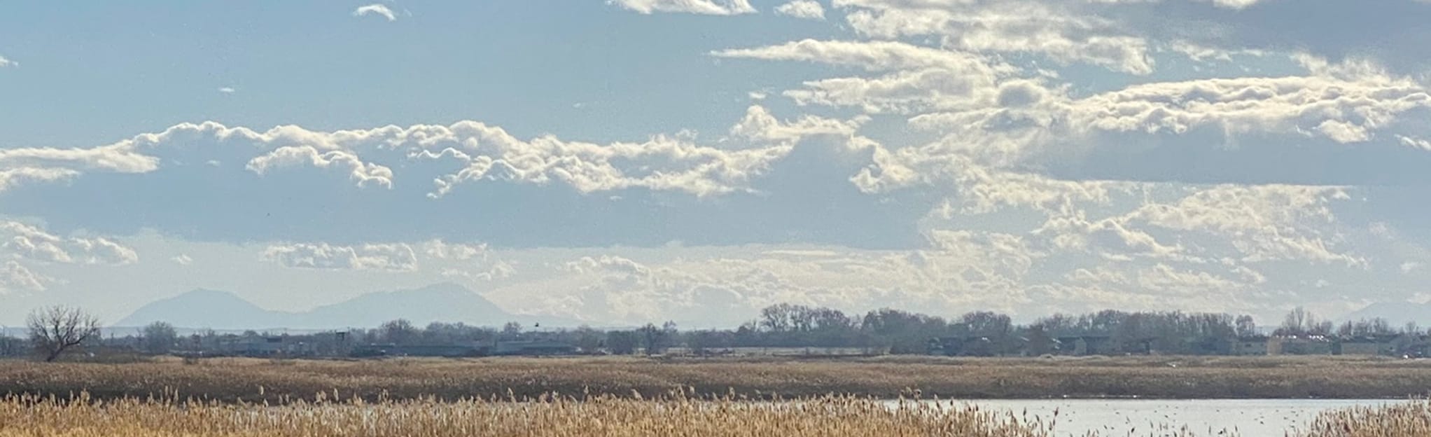 Minnequa Lake Trail Map, Guide Colorado AllTrails