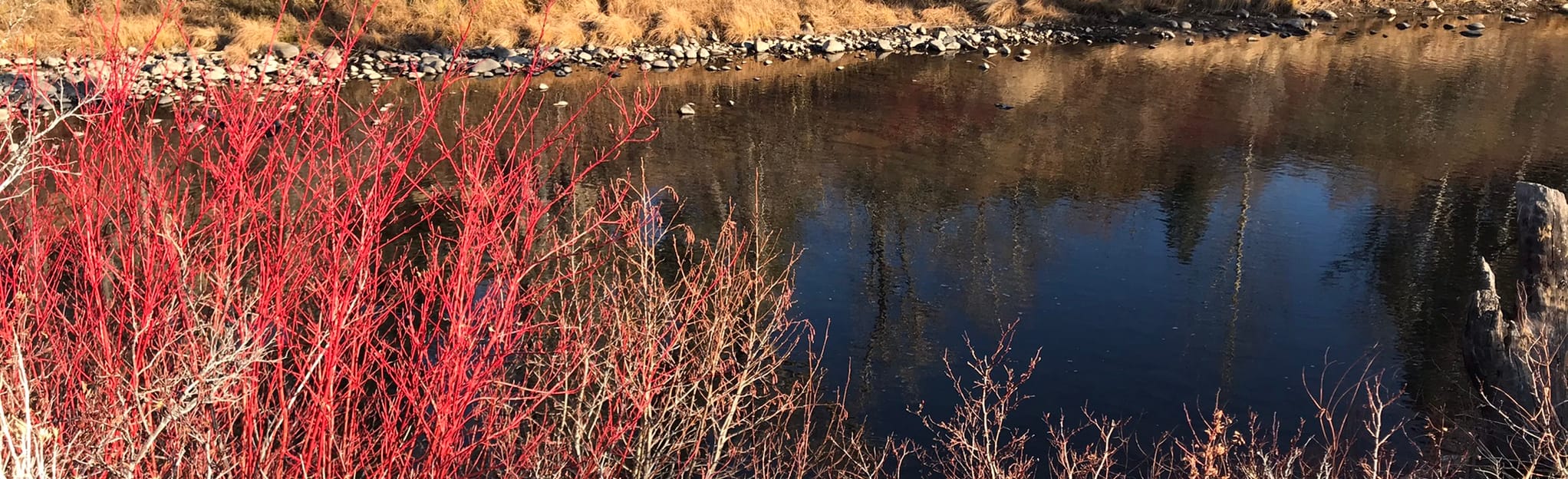 Crystal Peak Fishing Trail Map, Guide Nevada AllTrails