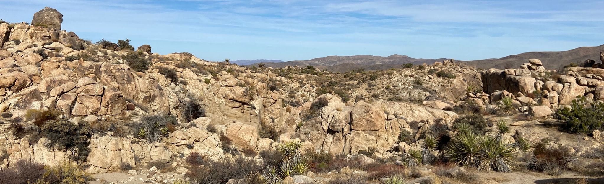 Twin Tanks, Ivanpah, and Live Oak Tanks Loop, California - 69 Reviews ...