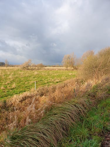 Siebendörfer Moor