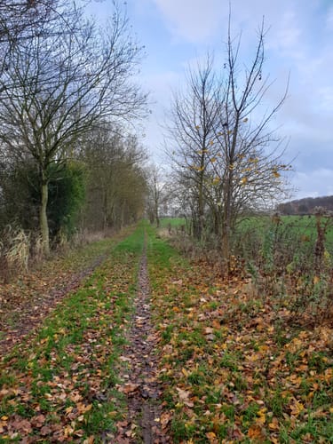 Siebendörfer Moor