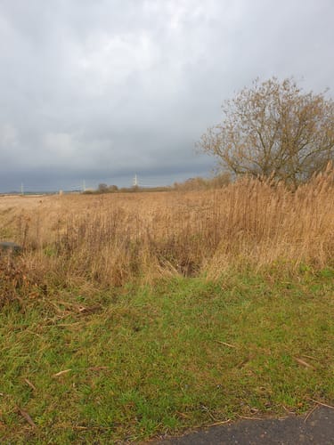 Siebendörfer Moor