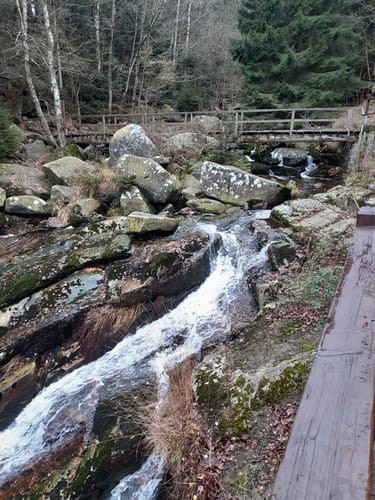 Ottofelsen