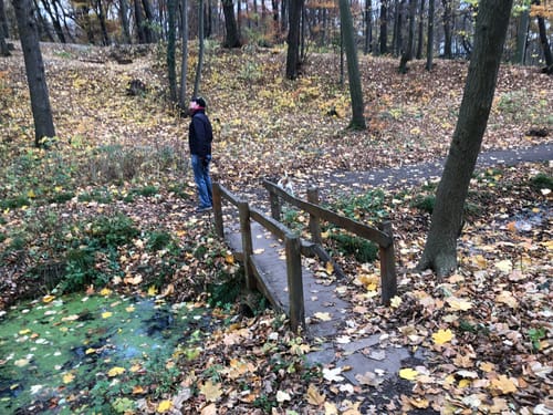 Rundweg Schloß Machern