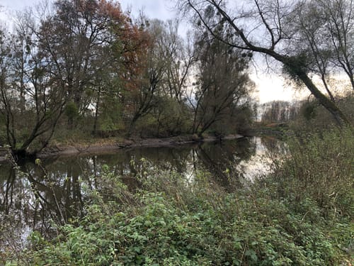 Naturpark Helmlingen: Altrheinweg