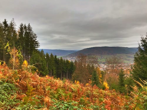 Miltenberg - Felsenmeer Rundwanderung