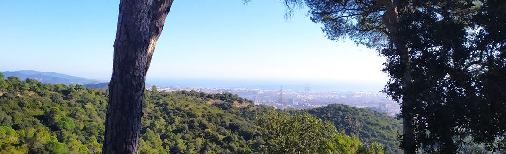 Vivers de Can Borni - Ermita San Medir - Mirador Cerdanyola: 15 Reviews,  Map - Barcelona, Spain | AllTrails