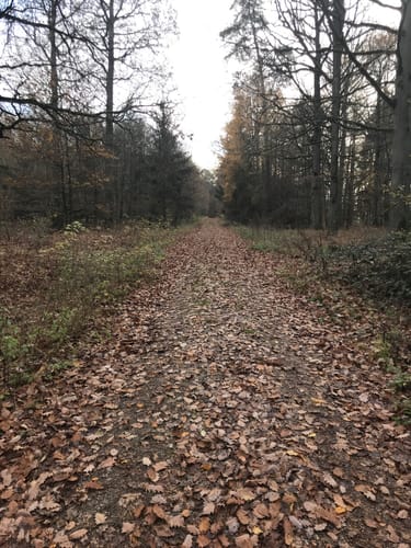 Ansbach – Herrieden