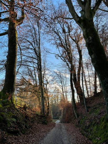 Schloss Frauenbühl und Isenkanal