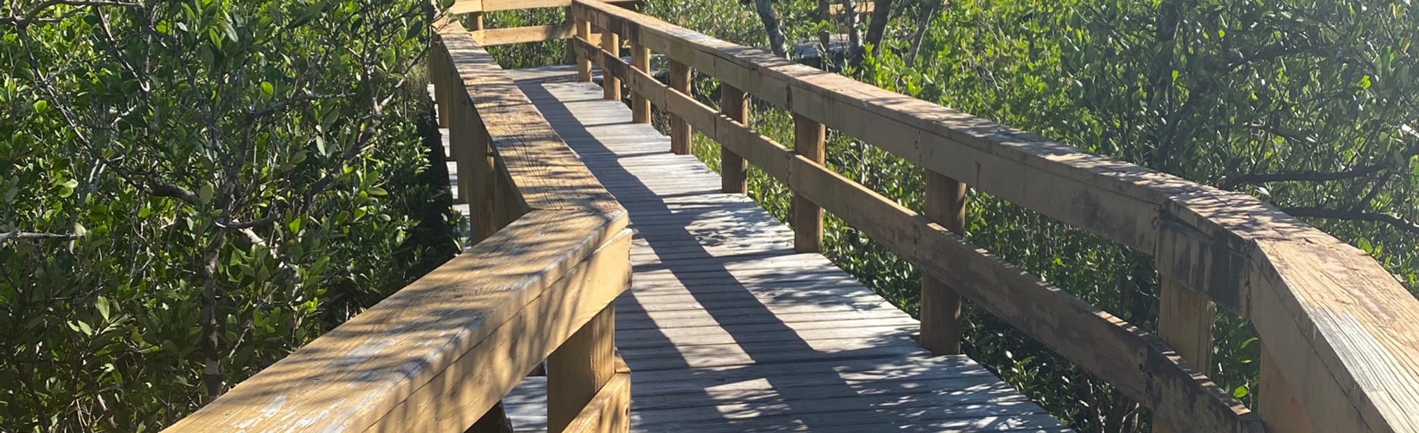 Hammock Park Osprey Loop 54 Reviews, Map Florida AllTrails