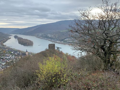 Rhein-Wisper-Glück (Premiumwanderweg)