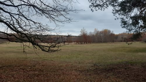 Findlingswanderweg