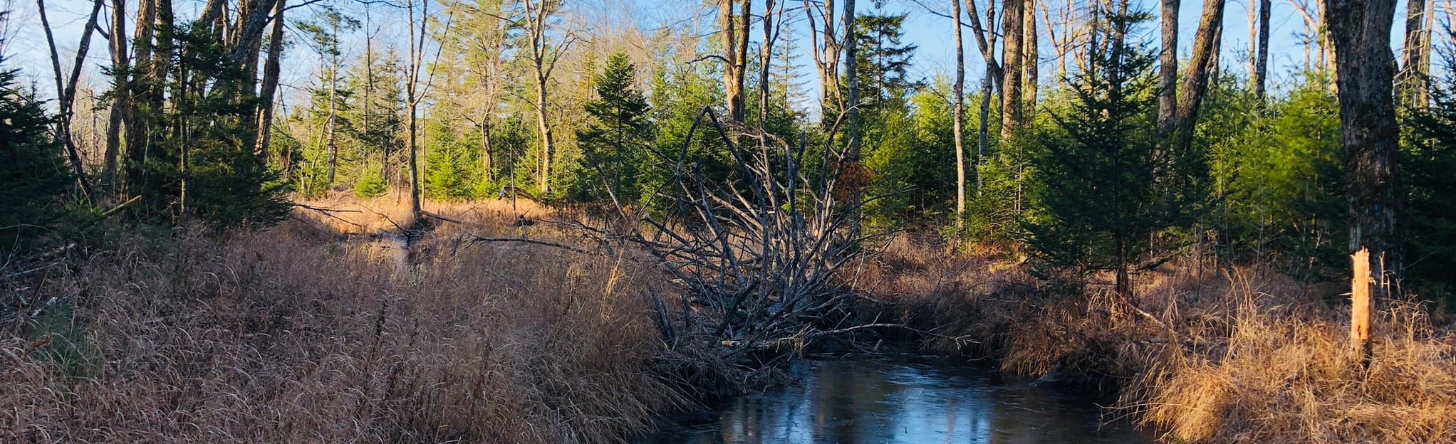 Highland Path Oyster River Bog Trail Map, Guide Maine