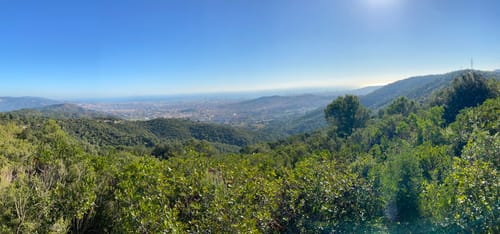 Best 10 Hikes and Trails in Collserola Nature Park | AllTrails
