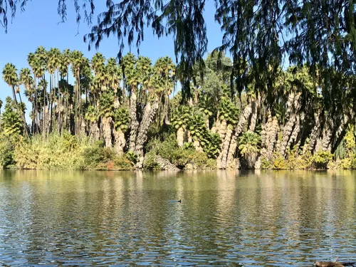 Best Hikes and Trails in White Park | AllTrails