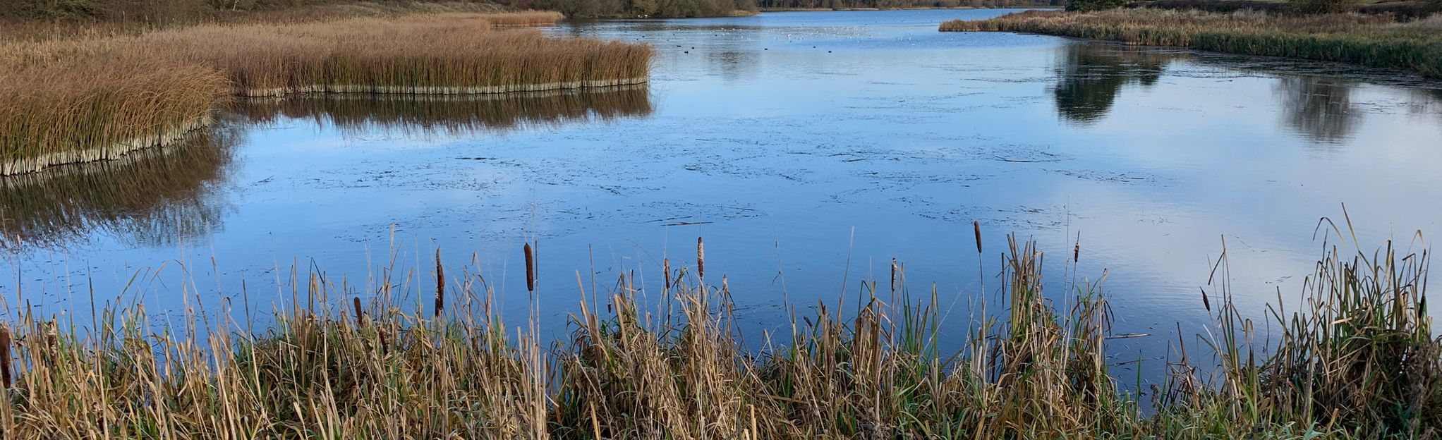 Thorpe Malsor and Cransley Reservoir, Northamptonshire, England - 42 ...