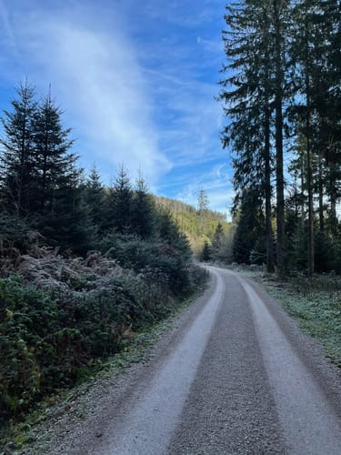 Badener Höhe ab Sand
