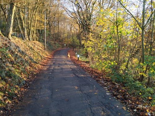 Stadtforst Vormholz - Muttental