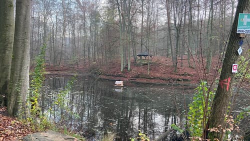 Spessartspur "Niederrodenbacher Barbarossaquelle und Klosterruine"