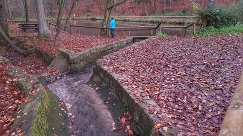 Rundwanderweg 2 Erbach Dreiseetal: Ernsbach-Weg