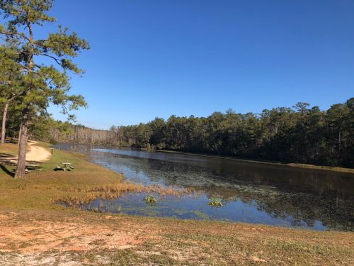 Best Hikes and Trails in Fort Rucker | AllTrails