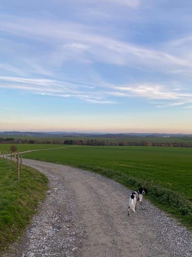 Von Mettman nach Obmettmann