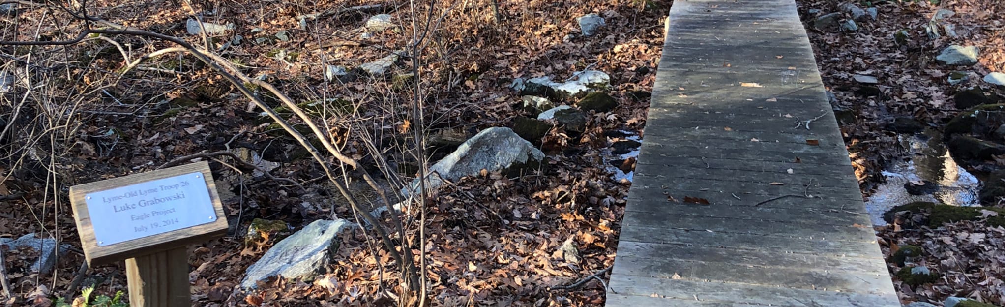 Honey Hill Preserve Loop, Connecticut 16 Reviews, Map AllTrails