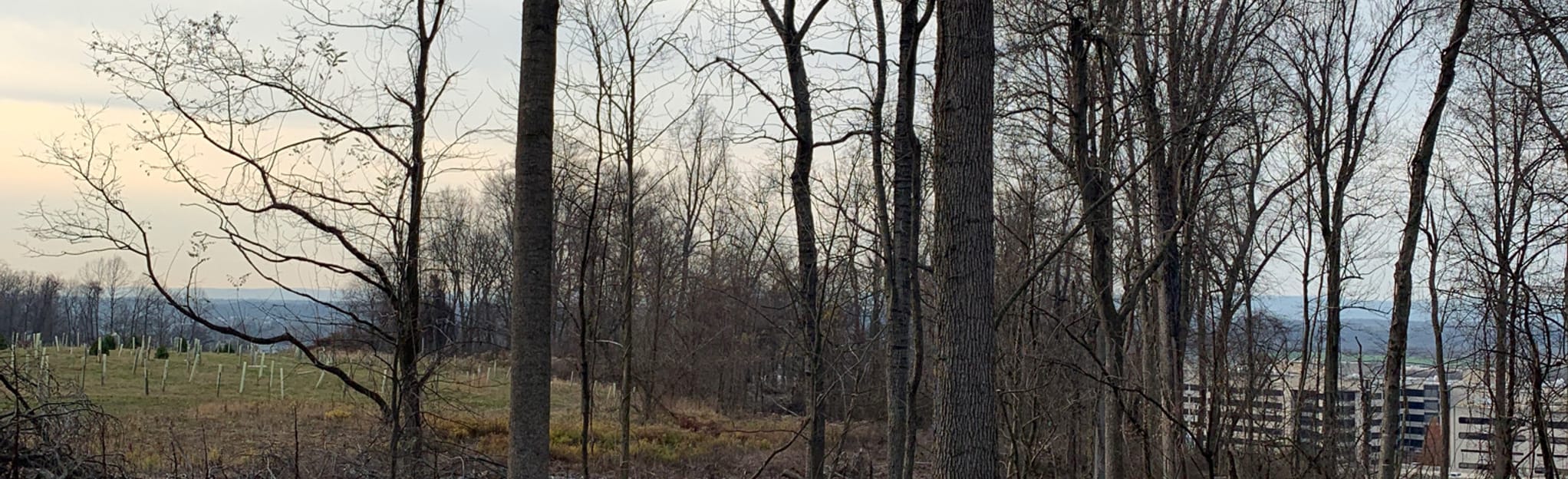 Hershey Medical Center E1, E5, E2, E3, and E4 Trail Loop 159 Reviews