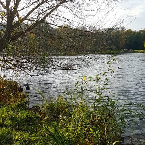 Röllfeld / Schmachtenberg: Auf dem Totenweg durchs Paradeis