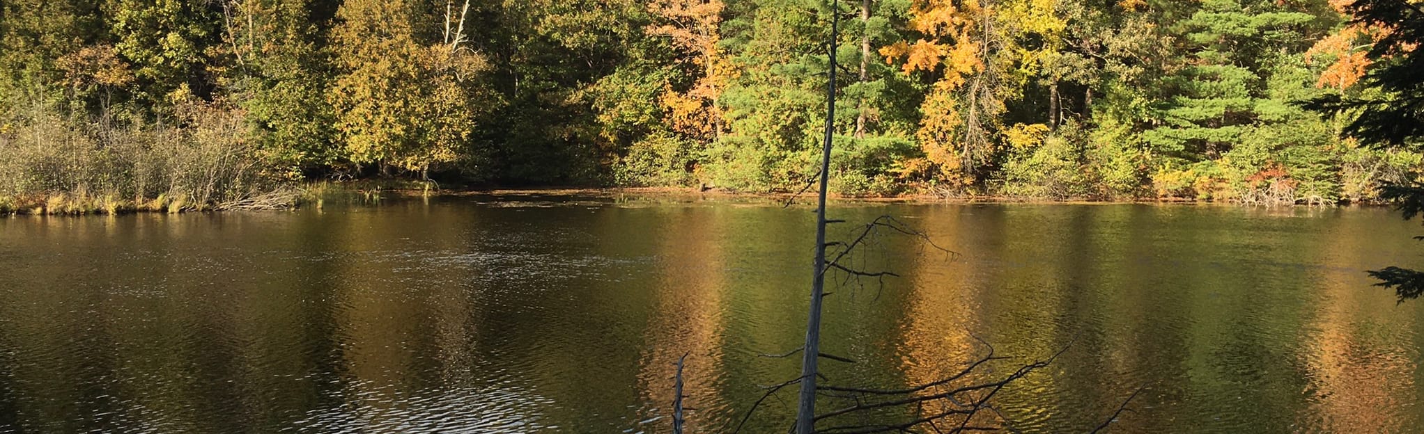 White Cedar Trail 8 Reviews, Map Wisconsin AllTrails