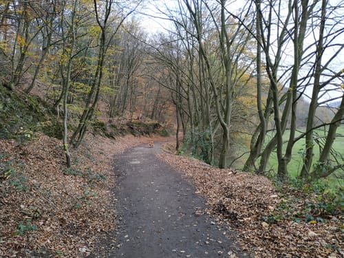 Von Nierenhof um den Hölterberg