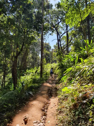 Best Hikes and Trails in Doi Khun Tan National Park | AllTrails