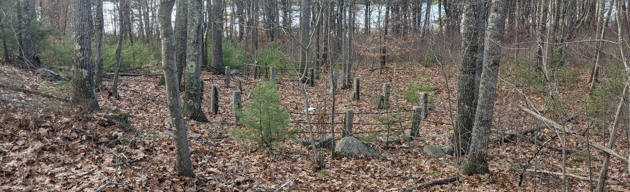 YKWD White and Green Trail Loop, Maine 66 Reviews, Map AllTrails