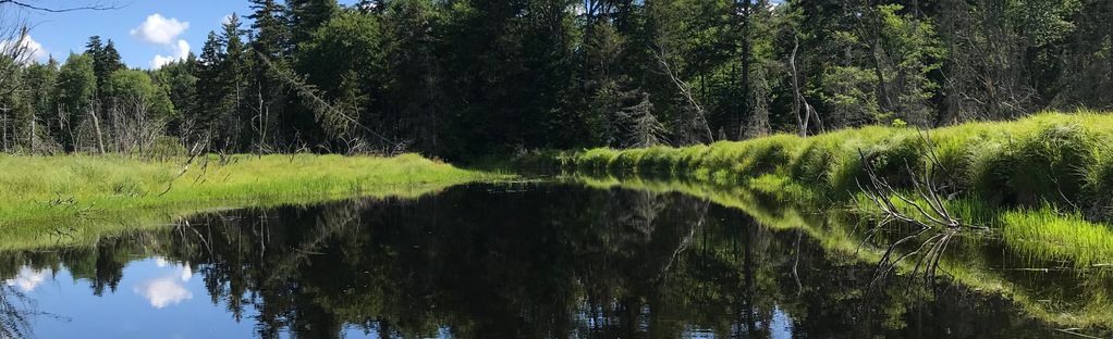 Fall Lake and Vly Lake Paddle Route via Fall Stream: 8 Reviews, Map - New  York | AllTrails