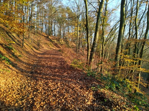 Vom Felderbachtal über den Holterberg und Zipperberg