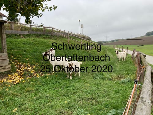 Bad Birnbach - Oberbirnbach Runde