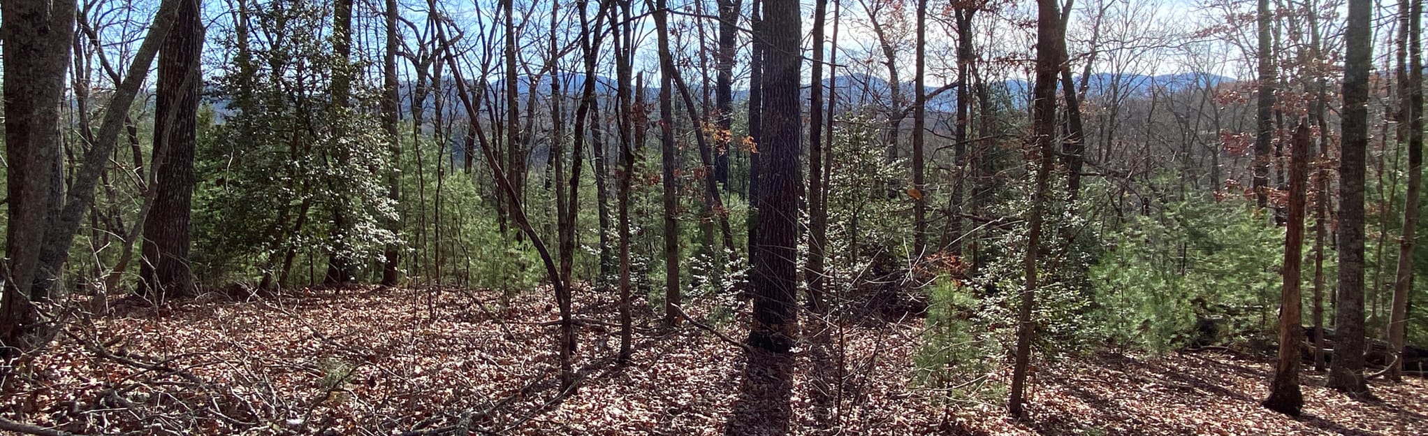 AllTrails Meeks Park to Union County Dog Park Loop 342 Reviews, Map