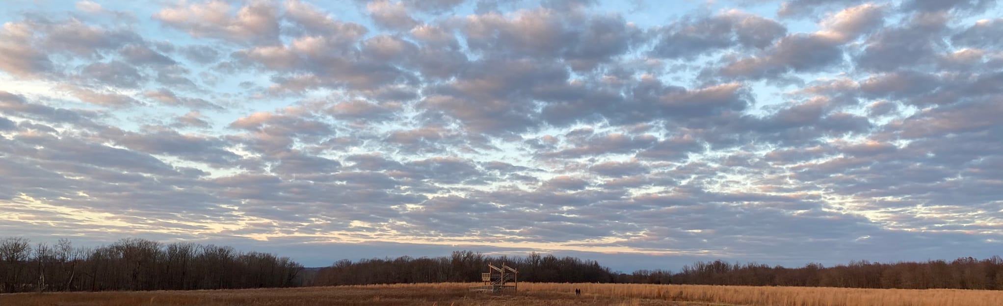 Reed/Bryan Farm Trail via Twin Pines 79 Reviews, Map New Jersey